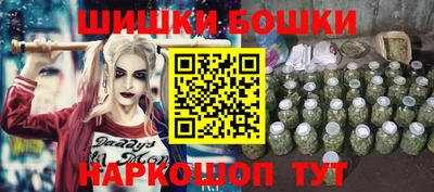 тгк Обь